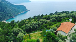 Villa Alemdaroğlu Secret Garden